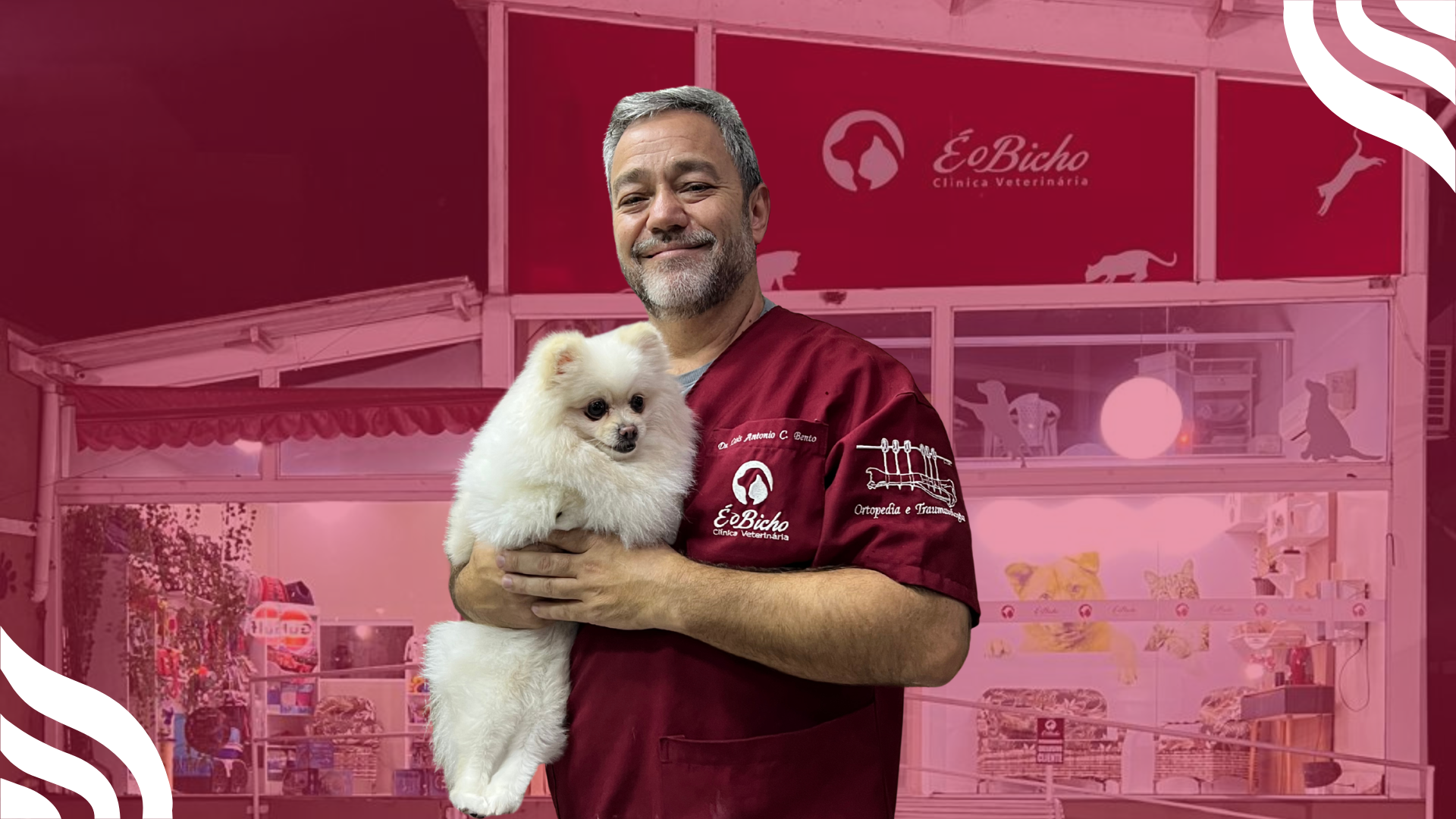 Veterinária cuidando de cão e gato na clínica